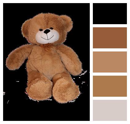 Bear Soft Toy Teddy Image